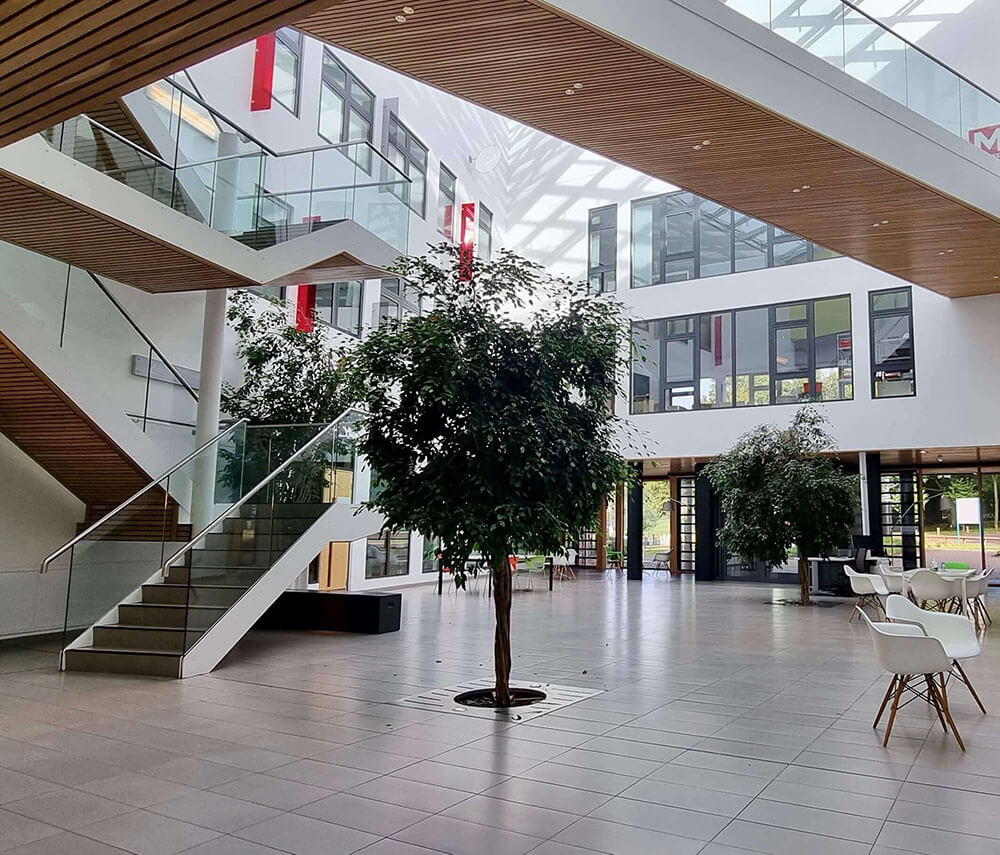 Building Toward A Greener Future